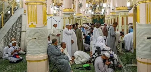 Jemaah umrah sedang berdoa di dalam masjid nabawi saat slot Raudhah sering penuh - Wisata mulia insani